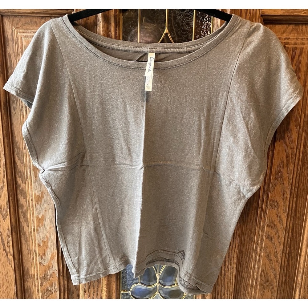 Aeropostale Women's Silver Gray Shimmer Crop‎ T Shirt top Size XS Relaxed Fit